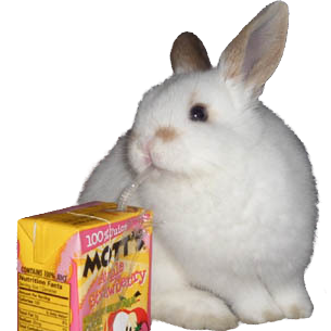 bunny sipping throught a straw from an apple juice box