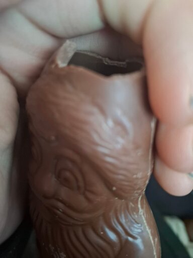 Chocolate santa claus head bitten